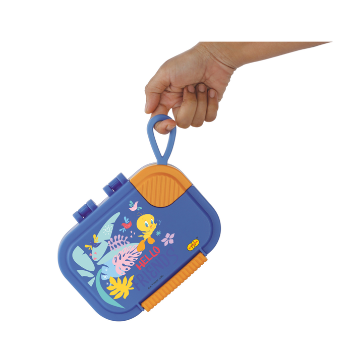 MIZO 2 PARTITION LUNCH BOX